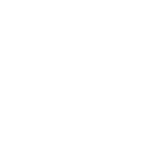 Nefarious Industries logo